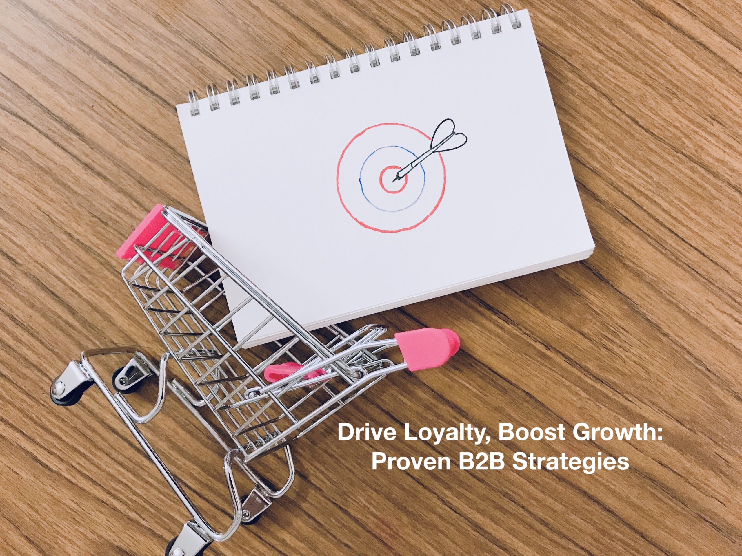 Proven B2B Loyalty Strategies for Long-Term Success